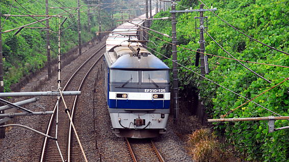 EF210