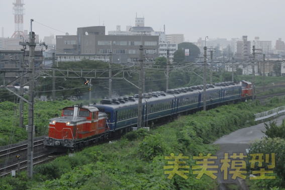 DD51842+12系×5+DD51895「DLみなかみ」：雀宮-宇都宮