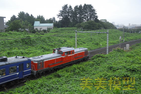 DD51842+12系×5+DD51895「DLみなかみ」：雀宮-宇都宮