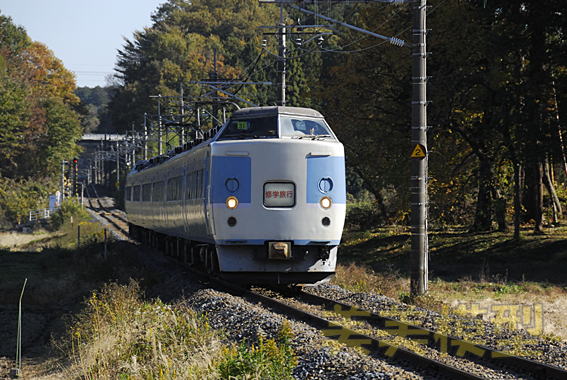 183系幕張車(31F旧あずさ色)「修学旅行」8841M：鶴田-鹿沼